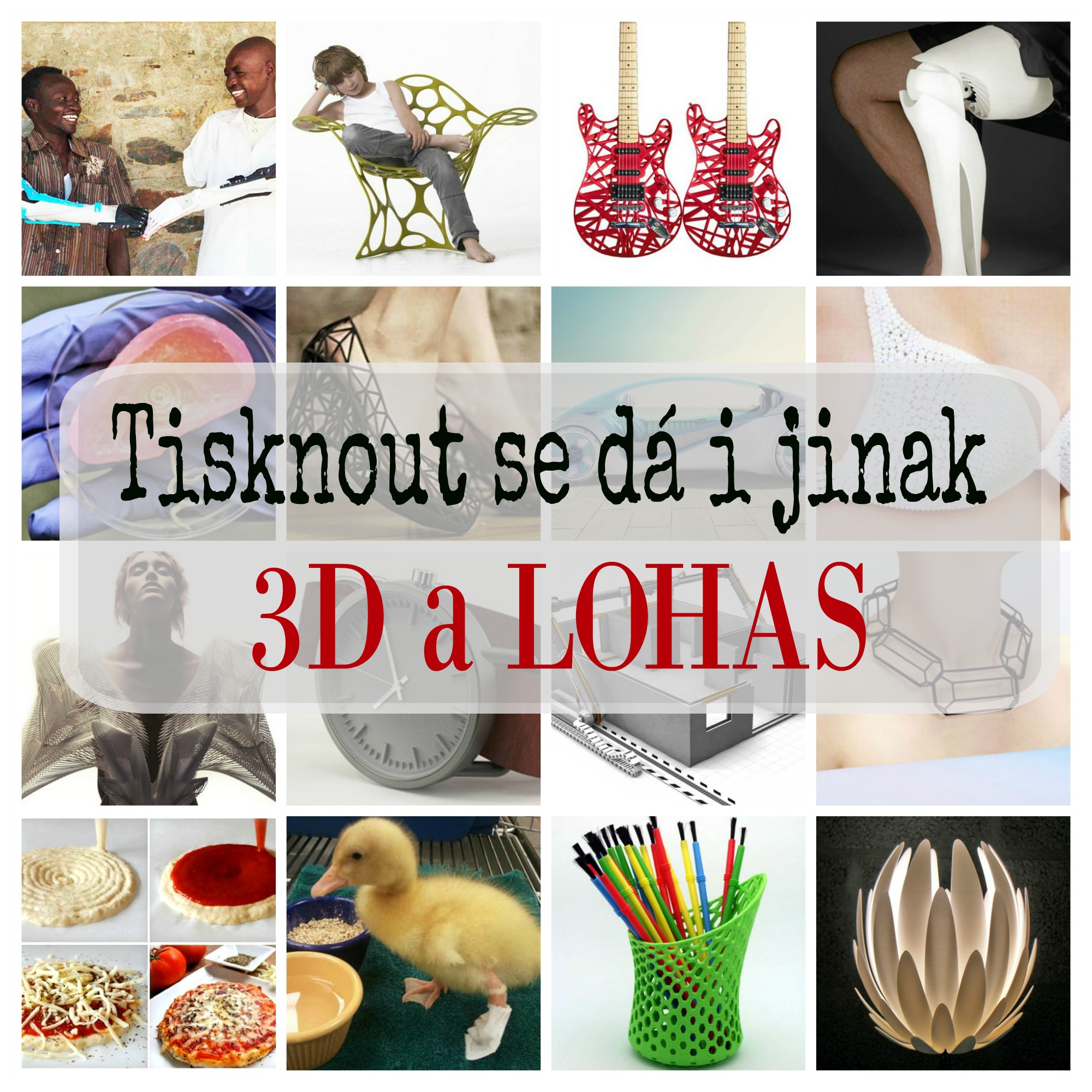 Tisknout se dá i jinak, 3D a LOHAS