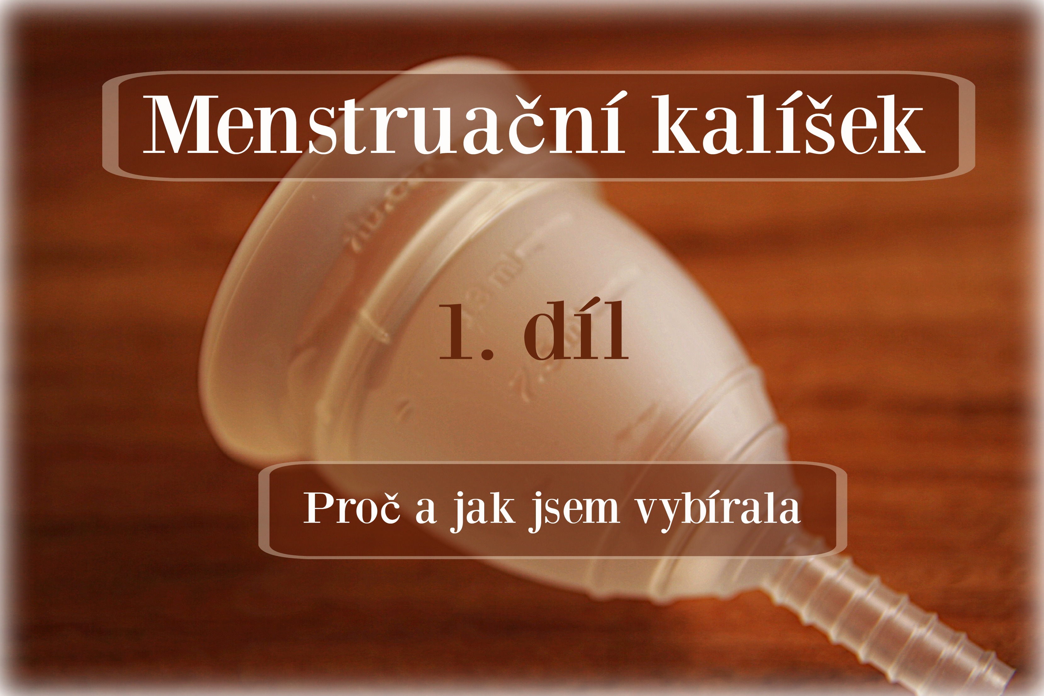 menstruační kalíšek - proč a jak jsem vybírala