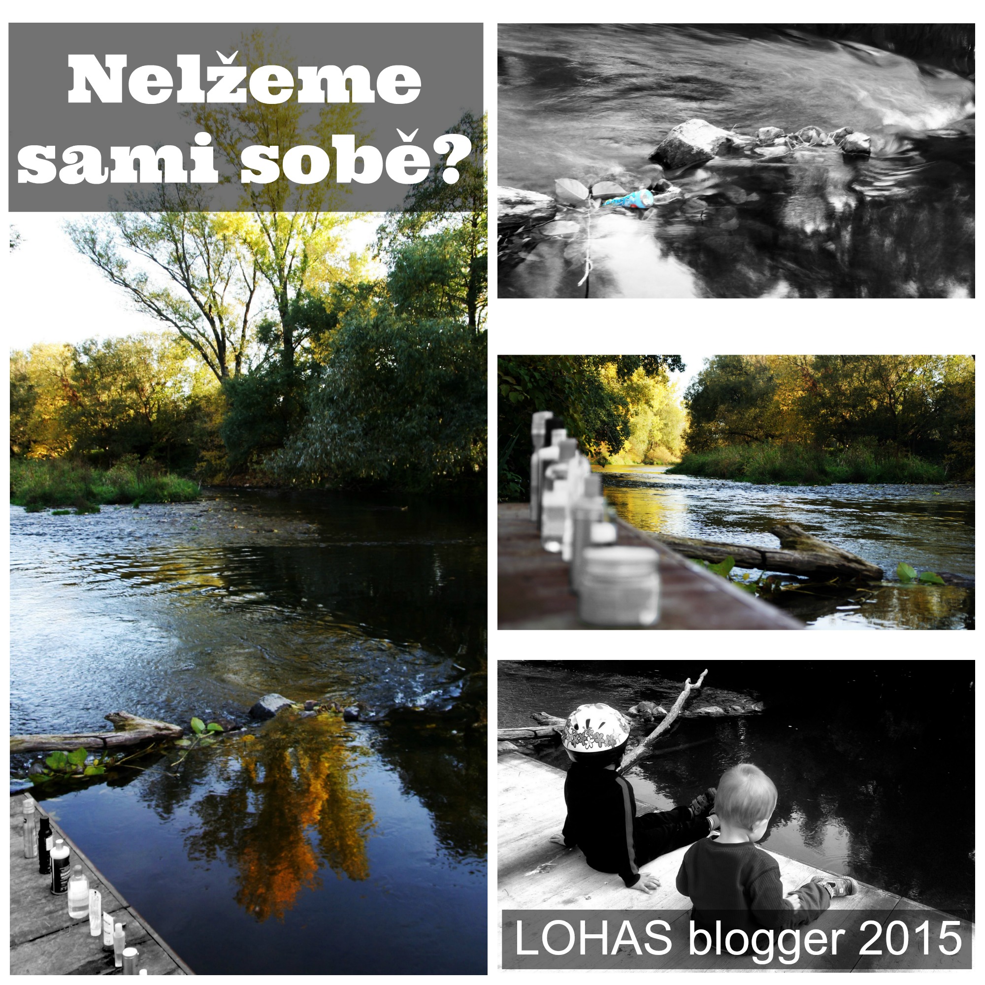 LOHAS blogger 2015
