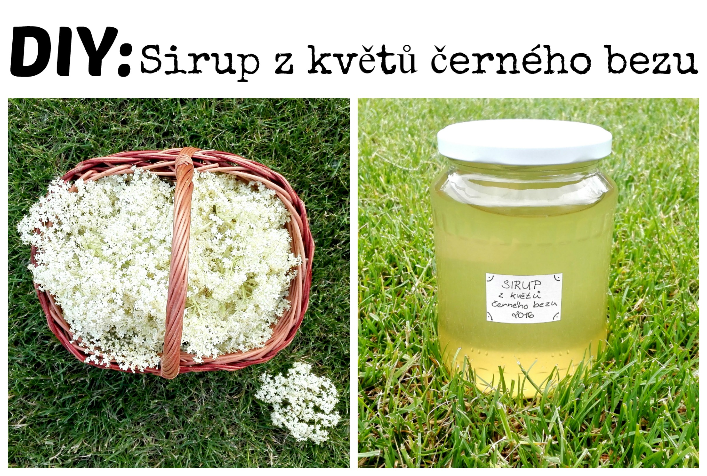 DIY: Sirup z květů černého bezu